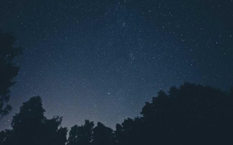 激活乡土资源 赋能乡村发展