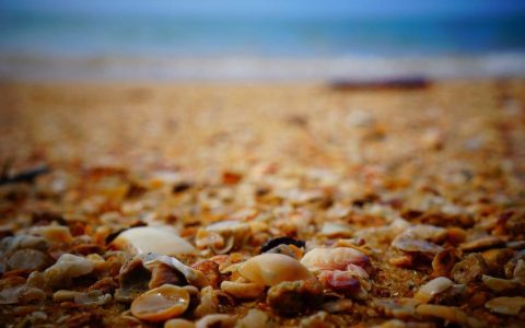 技术重塑体验 智慧引领升级