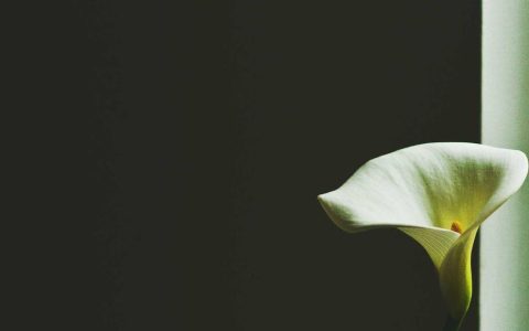 塑造城市气质 擦亮文旅名片