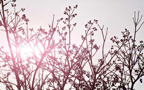 畅通投资渠道 助力产业升级