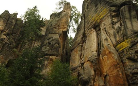 内容种草获客 数字赋能增长