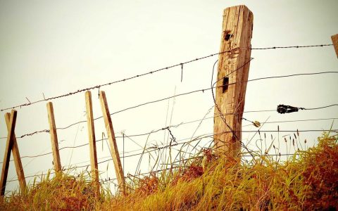 运动赋能产业 协同拓展空间