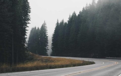 数字开启新局 转型焕发生机