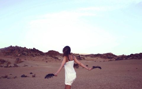 提炼文化特质 打造特色IP