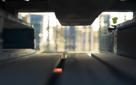 优化服务供给 打造品质文旅