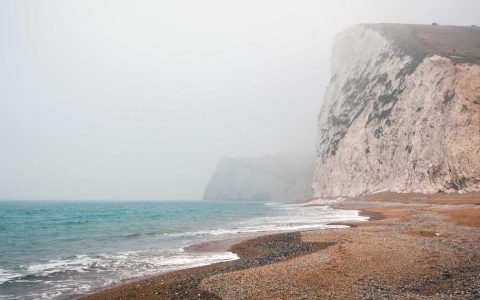 完善培养体系 赋能产业发展