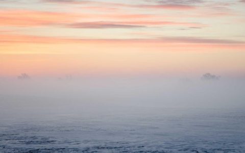 融合创造价值 共生实现共赢