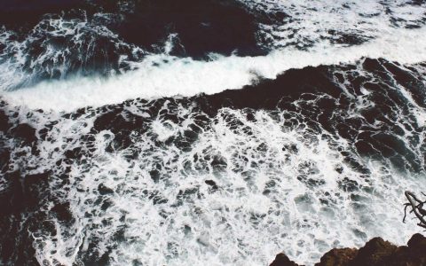 产业协同赋能 开拓增长空间