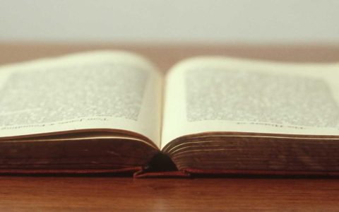 绽放：IP的市场绽放时刻