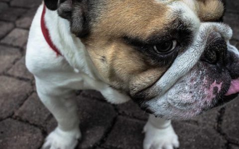 **当夜幕降临运动场：夜间体育文旅的消费新蓝海**