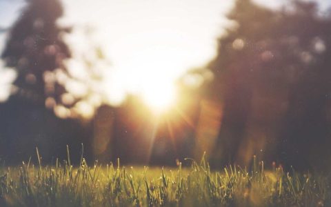 泥土中长出的新业态：乡村价值重估进行时