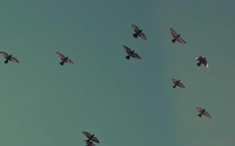 代码与风景共生：技术如何重塑出行新体验