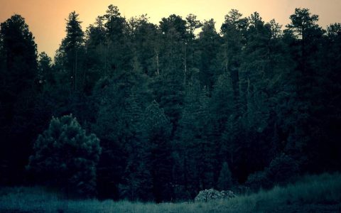 让文化符号成为城市的超级引擎