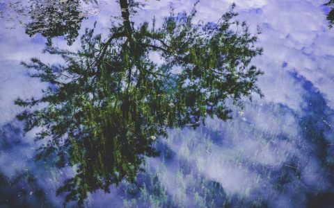 让投资为文旅创造更多可能