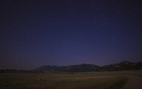 让文化符号生长出持久价值