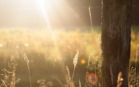 数据驱动：重塑文旅营销新生态