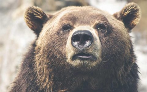 虚实交融：沉浸式场景重塑文旅新体验