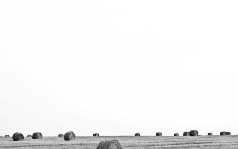 田园共生：农文旅融合的乡村新图景