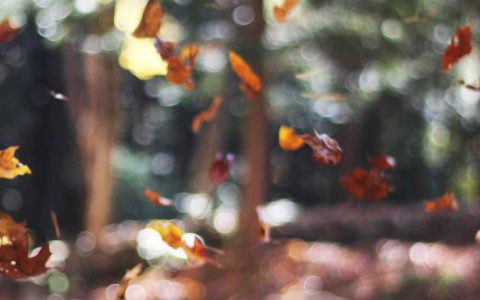 服务革命：文旅品质的新跨越