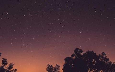 服务的刻度：文旅品质提升方法论