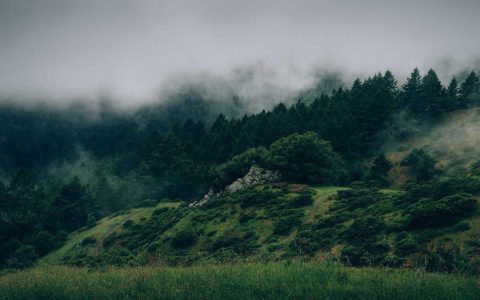 造梦工厂：文旅人才发展的孵化体系