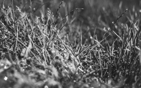 绿色高质量：文旅可持续发展的新路径