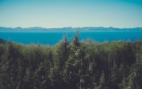 城市印记：文旅品牌的价值塑造