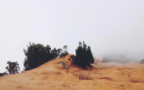 人才新航：文旅人才培养体系的重塑