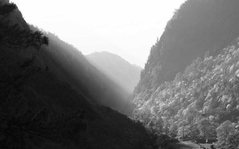 体验为王：文旅服务的品质进阶