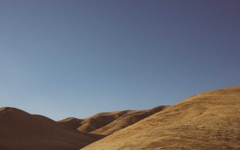 能力的方舟：文旅人才的结构性危机与应对