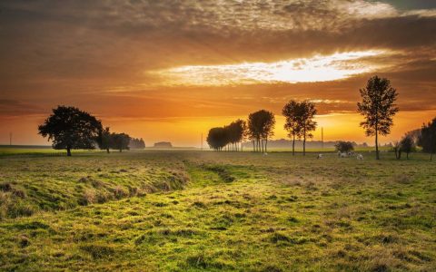 共振新声：文体旅协同的产业变局