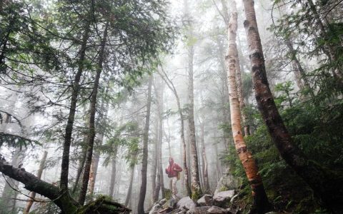 品牌造浪：文旅IP的情感锚点