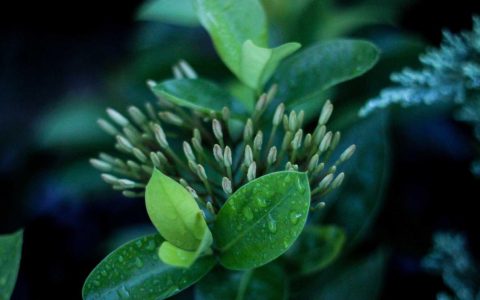 风起势来：文旅产业政策的机遇之门