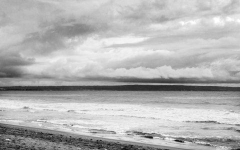 全域共振：文商旅融合的价值升维