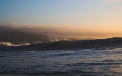 田野的复兴：农文旅融合的振兴密码