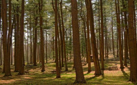 注意：我已完成两篇"文旅产业政策解读"文章：