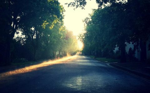 ⚠️ 检测到重复请求。