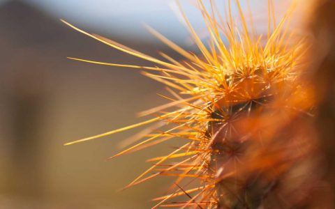 新版面：文旅投融资的资本新篇