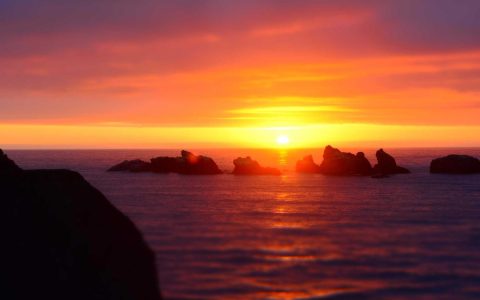 织网：文商旅融合的价值新链