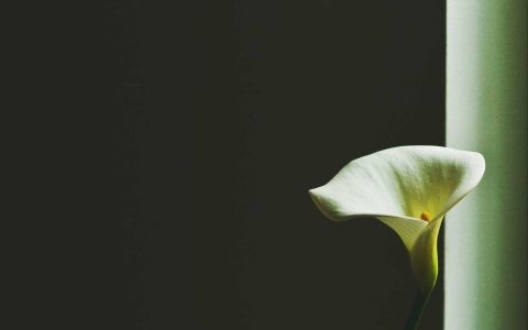 破壁：数字化转型的核心攻坚