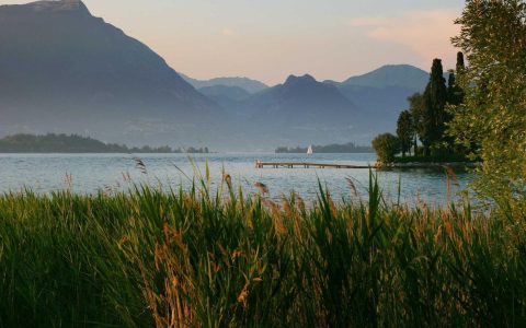 追光：消费场景的光影再造