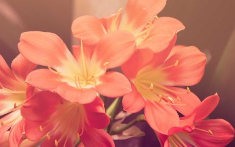 温度：服务升级的体验重构