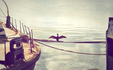 长青：可持续发展的长效密码