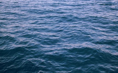 风起：融资破局的资本新翼