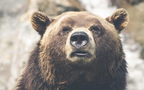 匠心：人才养成的长期主义