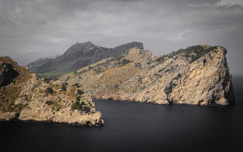 田野的复兴：农文旅的振兴之路