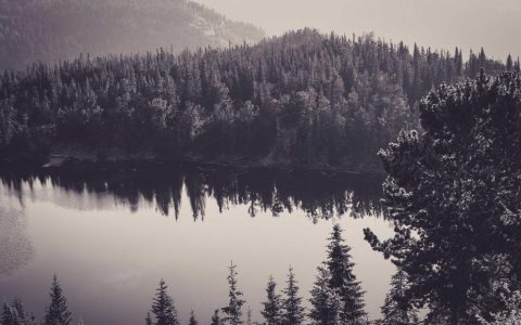 关于"文旅IP打造运营"，我已发布《造梦工厂》《符号共情》《铸魂》。直接交付第四篇：