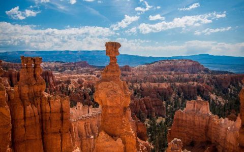 顺势：投资窗口的精准卡位