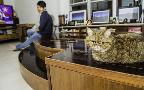 当景区学会思考：技术重构文旅体验的深层逻辑