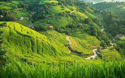 银发旅游与养老旅居：活力晚年新体验
